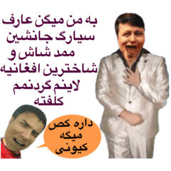 Aref siyasag