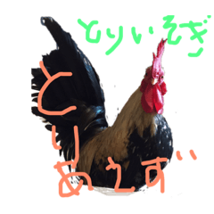 Kokoko_20190501231909