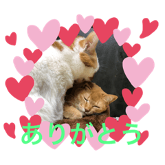 AY_20190501213526