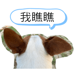 歡樂父子檔