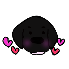 The Black Labrador retriever puppy2