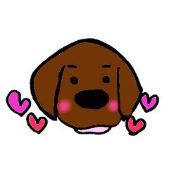 The Chocolate Labrador retriever puppy