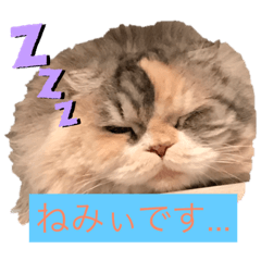 Alice_20190502130241