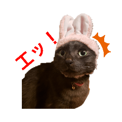 RiNRiN_20190501220152