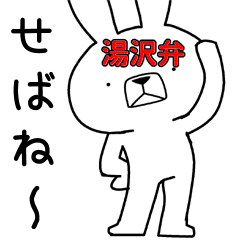 Dialect rabbit [yuzawa2]