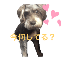 kanako_20190502193805