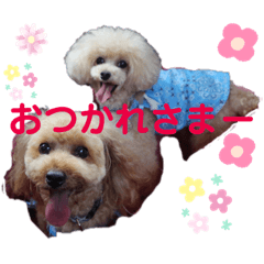 kaoru_20190502185534