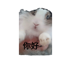 我家的五小福