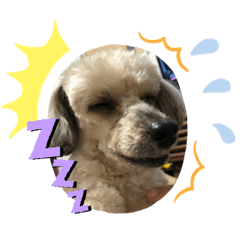 kinako_20190502105959