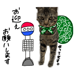 sasuke and haku Daily