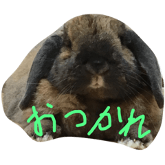 mochi_20190502161733