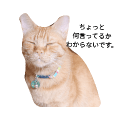 Cafe Uriel Line Stickers Line Store