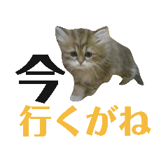 名古屋弁の猫スタンプ