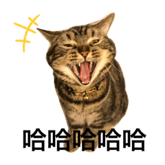 加嘠貼圖