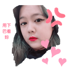 小象來嘍