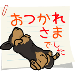ダックス大好きスタンプ 黒タン優しい敬語 Line スタンプ Line Store ダックス大好きスタンプ 黒タン優しい敬語 Line スタンプ Line Store