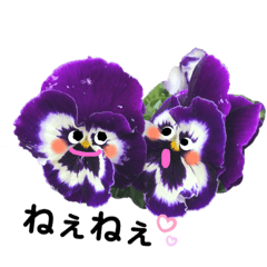 ohanashidaisukibana