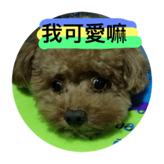 我的寶貝弟弟