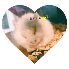 omochi stamp 2019