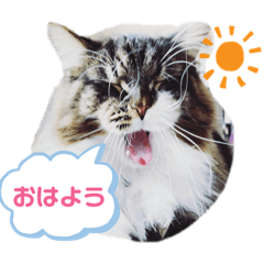 rika_20190503203510