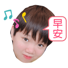 我是胖胖樺