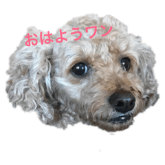 saya_20190504154959