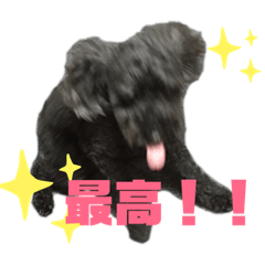 hana_20190504171329