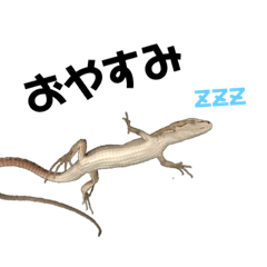 miii_20190504221541