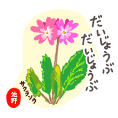 池野 専用おとなの花敬語