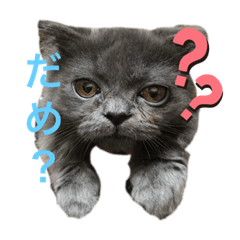 kazuki_20190504230403