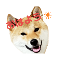 mame_20190504234027