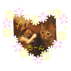 cherry_20190504215935