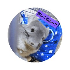 olive_20190504220418