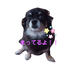 mayumi_20190505033537