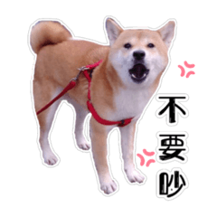 瑪麗與一家人