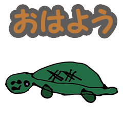 Serious japanese cute turtle