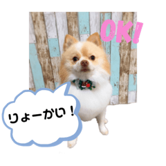 Ace_20190505175842