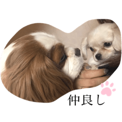 natsuki_20190505184334