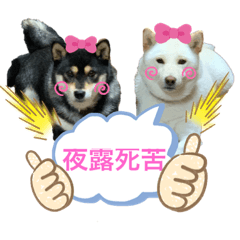 saori_20190505205123