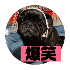 Saori_20190505204015