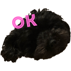 Nanami_20190505223806