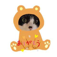 Chinatsu_20190506114814