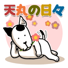 Lサイズの癒し犬 天丸の日々 Line スタンプ Line Store Lサイズの癒し犬 天丸の日々 Line スタンプ Line Store