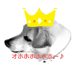 JUNKO_20190506104741