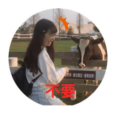 資資日常