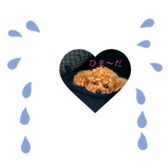 Choko dog