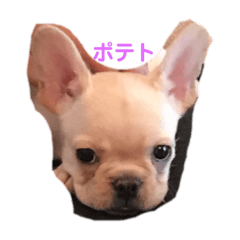 minako_20190506160804
