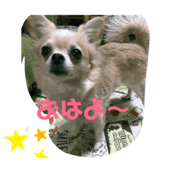 emon_20190506183147