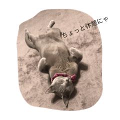 AKIRA_20190506170117