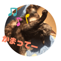 Saya_20190506184638